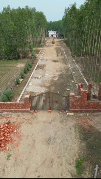  Residential Plot 900 Sq.ft. for Sale in Sahaspur, Dehradun