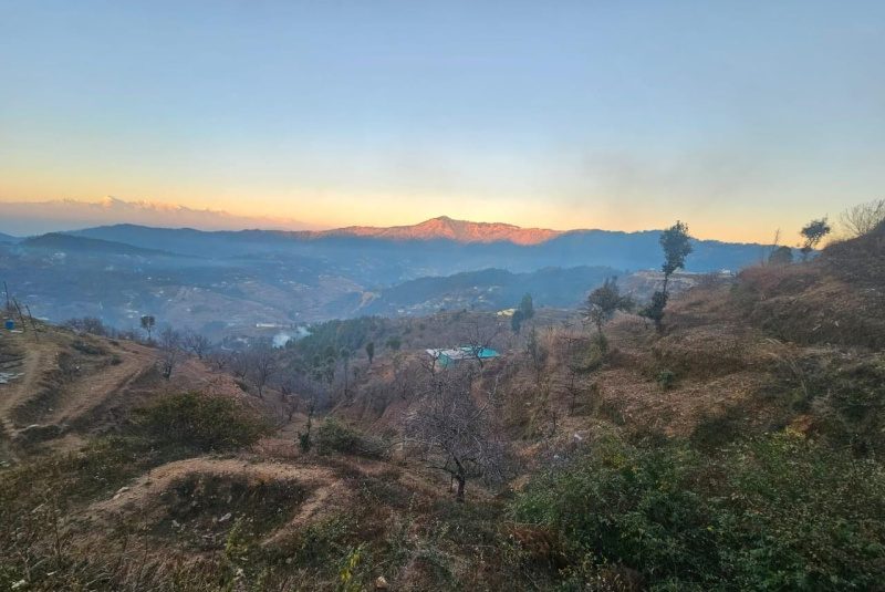  Residential Plot 240 Sq. Yards for Sale in Mukteshwar, Nainital