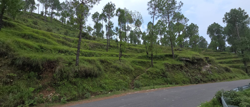  Residential Plot 900 Sq.ft. for Sale in Devprayag Pauri Garhwal