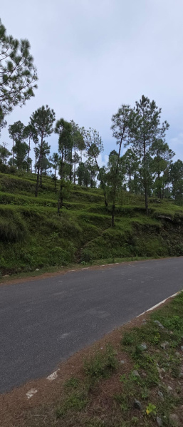  Residential Plot 900 Sq.ft. for Sale in Devprayag Pauri Garhwal