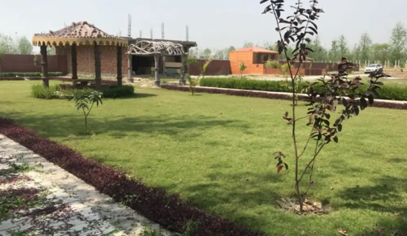  Residential Plot 900 Sq.ft. for Sale in Patanjali Yogpeeth, Haridwar