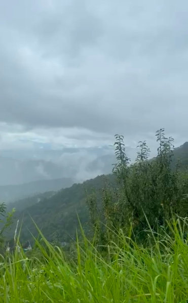  2160 Sq.ft. Residential Plot for Sale in Hartola, Nainital, 
