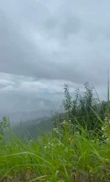  2160 Sq.ft. Residential Plot for Sale in Hartola, Nainital, 