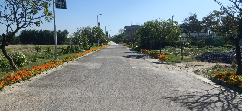  270 Sq. Yards Residential Plot for Sale in Kharkhoda, Sonipat