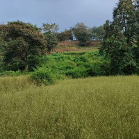  Agricultural Land for Sale in Roha, Raigad