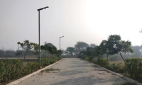  Residential Plot for Sale in Sector 97, Faridabad