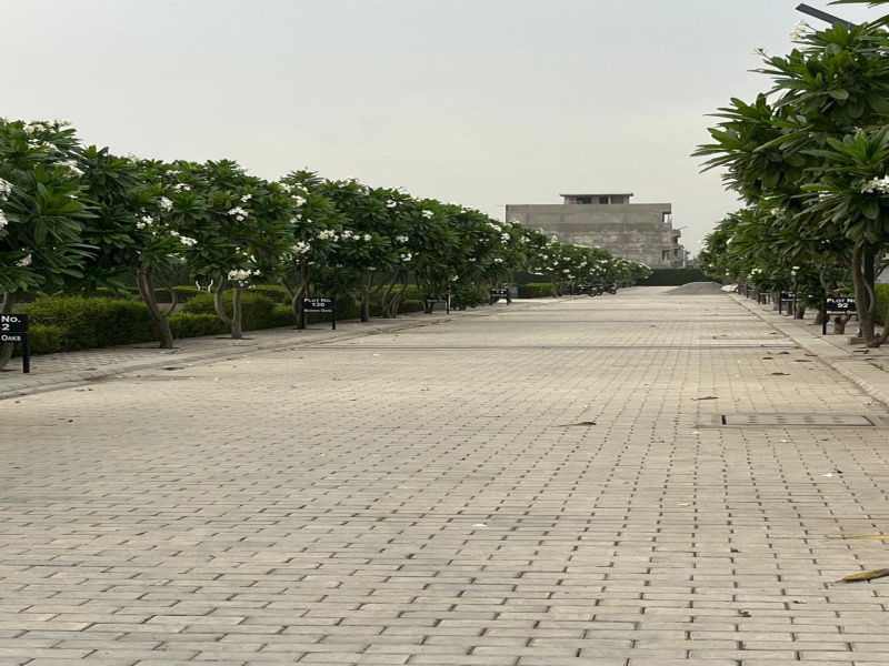  1170 Sq.ft. Residential Plot for Sale in Sector 8, Palwal