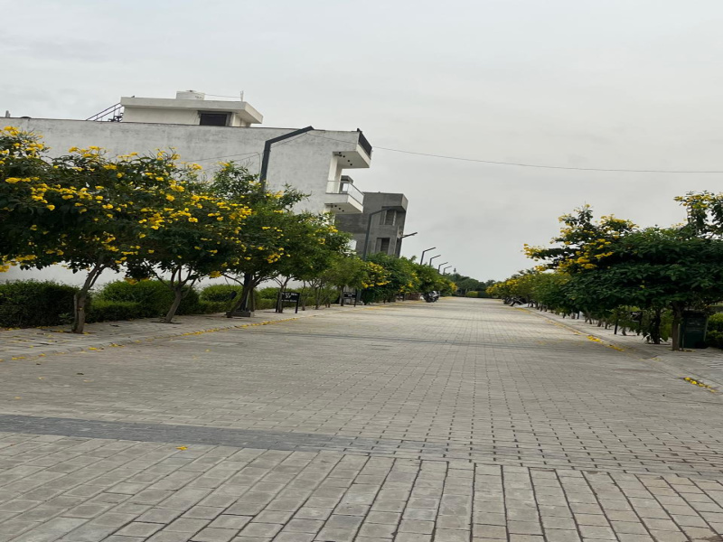  1170 Sq.ft. Residential Plot for Sale in Sector 8, Palwal