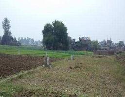  Residential Plot for Sale in Champa, Janjgir-Champa