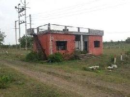  Residential Plot for Sale in Shivrinarayan, Janjgir-Champa