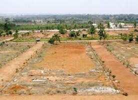  Commercial Land for Sale in Ameri, Bilaspur