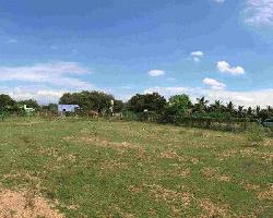  Agricultural Land for Sale in Beas, Amritsar