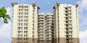 3 BHK Flat for Sale in Beta 2, Greater Noida