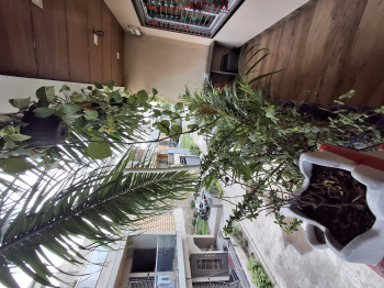  Showroom for Sale in Ghod Dod Road, Surat