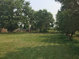  Commercial Land for Sale in Sector 136 Noida