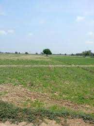  Commercial Land for Sale in Dwarka Expressway, Gurgaon