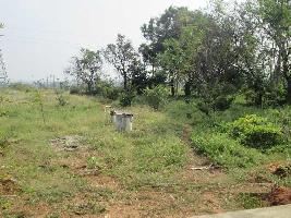  Commercial Land for Sale in Old Bharat Nagar, Bhiwani