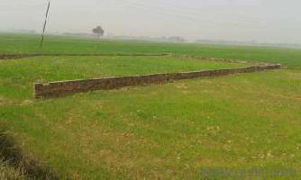  Agricultural Land for Sale in GT Road, Kanpur