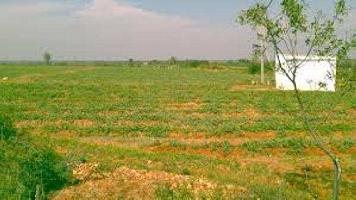  Agricultural Land for Sale in Garh Road, Meerut