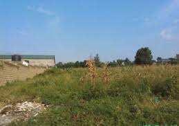  Agricultural Land for Sale in Kunadi, Kota