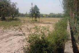  Commercial Land for Sale in Sector 132 Noida