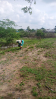  Residential Plot for Sale in Narasimhanaickenpalayam, Coimbatore
