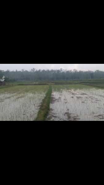  7 Bigha Agricultural/Farm Land for Sale in Ramnagar, Nainital