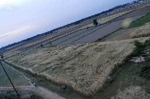  Agricultural Land for Sale in Meerut Bypass