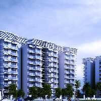 3 BHK Flat for Sale in Sector 106 Gurgaon