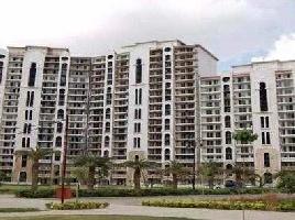4 BHK Flat for Rent in Sector 58 Gurgaon