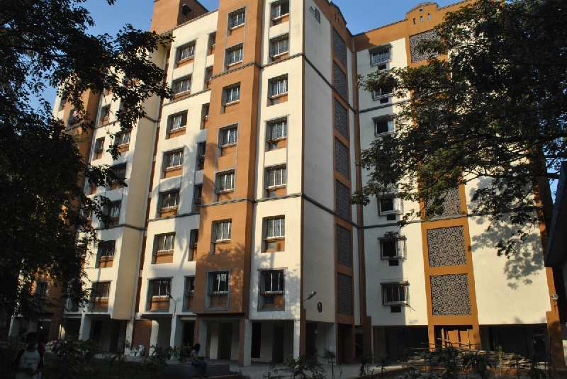 2 BHK Apartment 830 Sq.ft. for Rent in