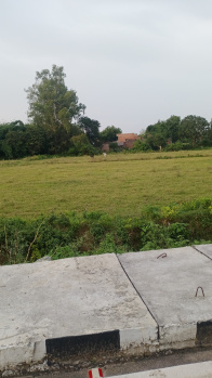  Agricultural Land for Sale in Bighapur, Unnao