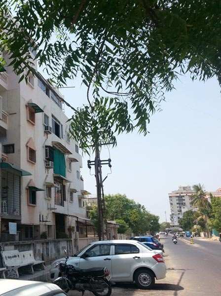 1 BHK Apartment 128 Sq. Yards for Rent in