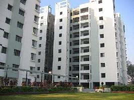  Flat for Rent in Vejalpur, Ahmedabad