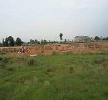  Residential Plot for Sale in Sector 64 Bhiwadi
