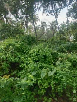  Commercial Land for Sale in Salcete, South Goa, 