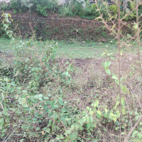  Industrial Land for Sale in Verna, Goa