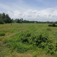  Residential Plot for Sale in Navelim, Margao, Goa