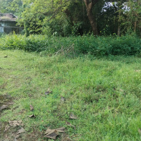  Residential Plot for Sale in Sancoale, South Goa