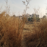  Residential Plot for Sale in Verna, Goa