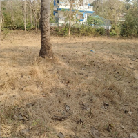 Residential Plot for Sale in Nuvem, South Goa, 