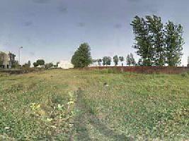  Residential Plot for Sale in Jalandhar Cantt.