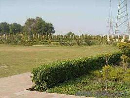  Residential Plot for Sale in Jalandhar Cantt.