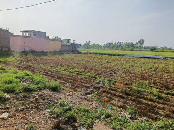  Agricultural Land for Sale in Mufti Tola Moradabad, 