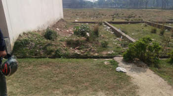  Residential Plot for Sale in Budhi Vihar, Moradabad