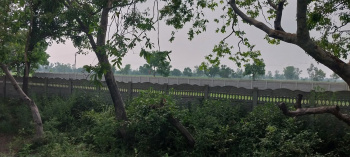  Agricultural Land for Sale in Budhi Vihar, Moradabad