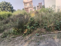  Residential Plot for Sale in New Moradabad
