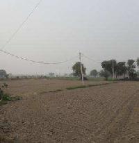  Commercial Land for Sale in Mansarovar Colony, Moradabad