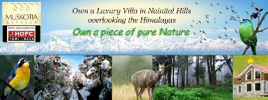 1 BHK Villa for Sale in Kilbury Forest, Nainital