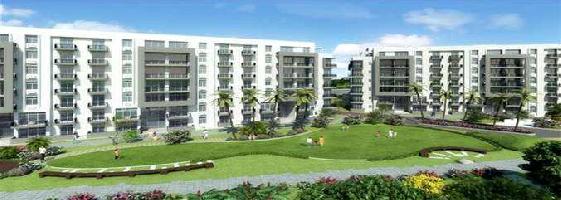  Flat for Sale in Kasauli, Solan